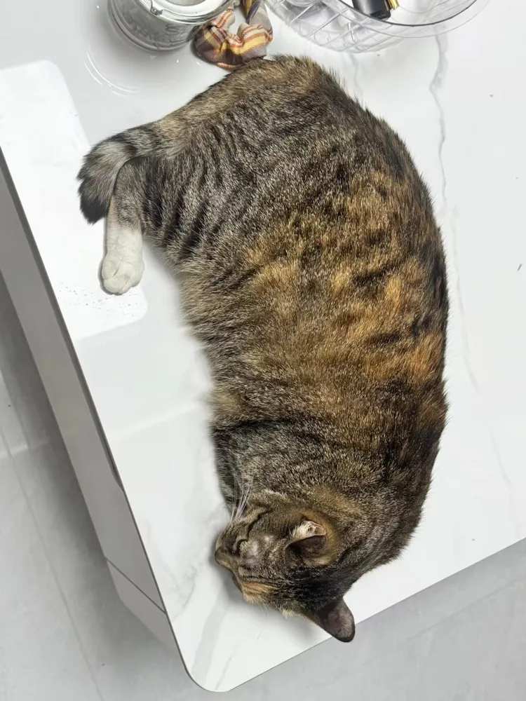 Piper a casa