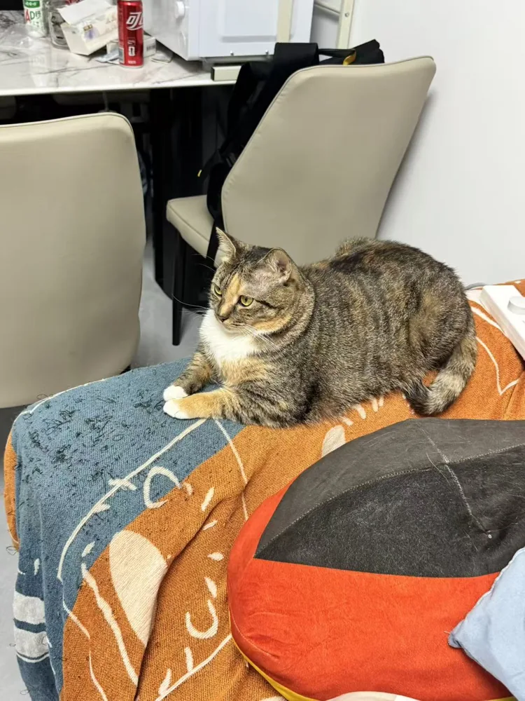 Piper à la maison