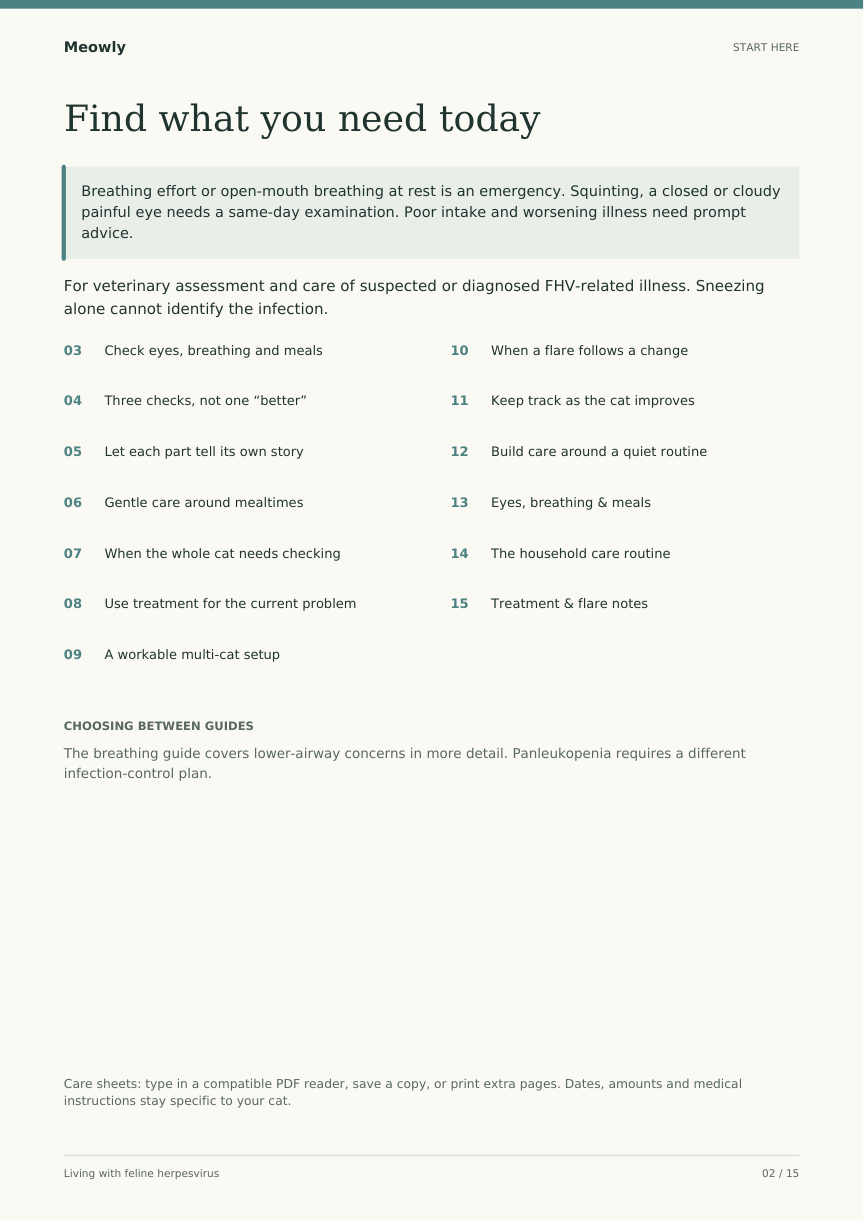 Aktuelle Inhaltsseite von Living with feline herpesvirus, Seite 2
