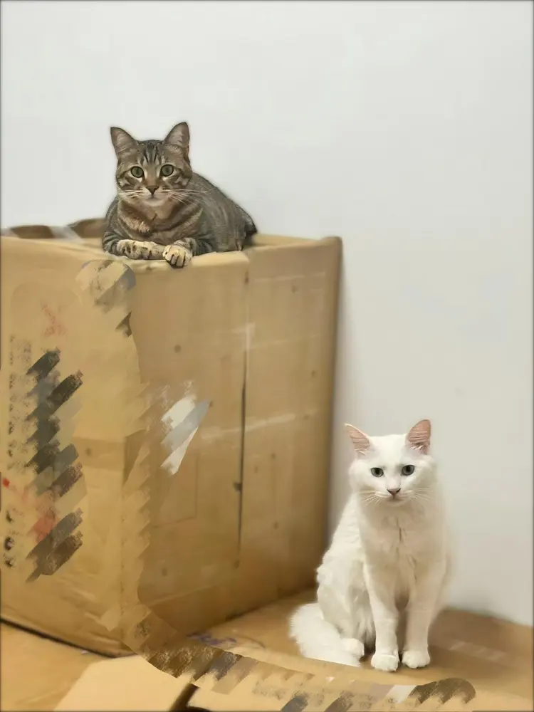 Piper zu Hause